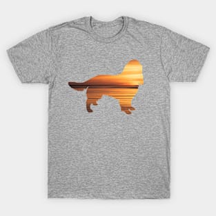 Springer Spaniel Sunset T-Shirt